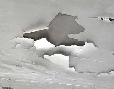 Roof Repairs