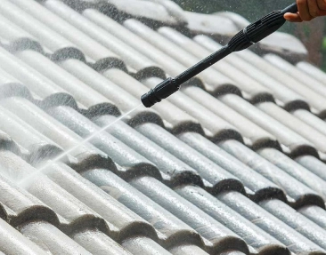 Roof Cleaning