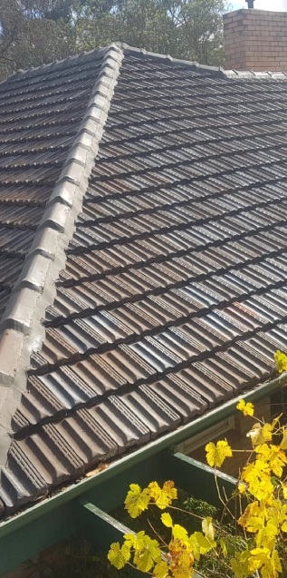 After Roof Repair